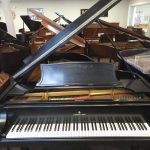 Steinway Model A3 Rare Restored Baby Grand Piano