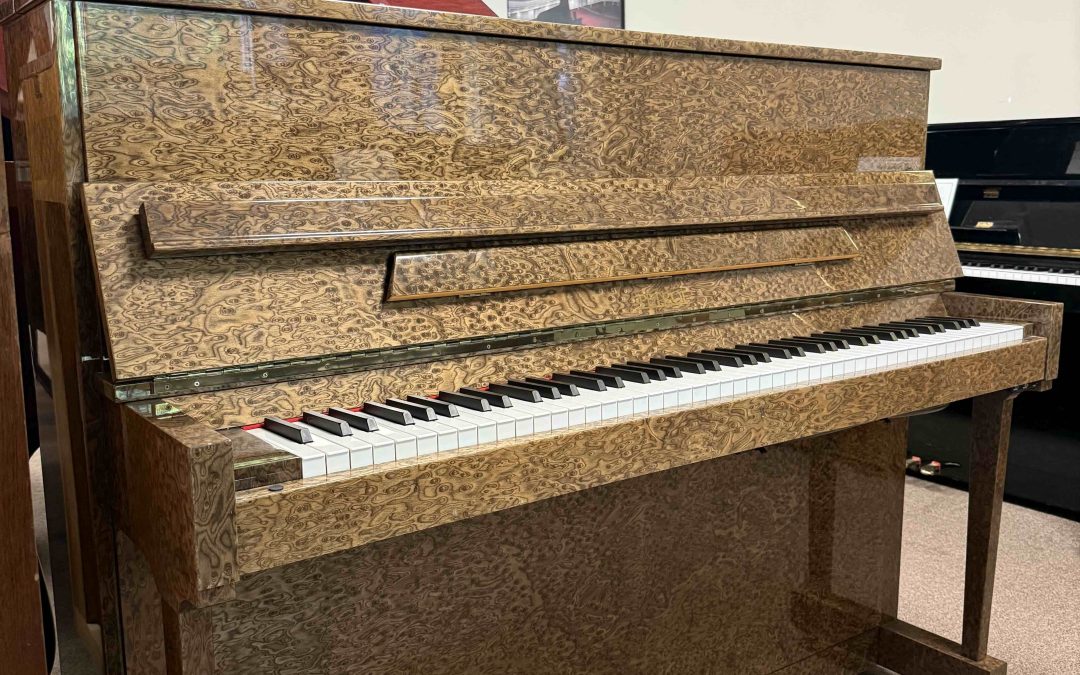 Petrof Rare Upright Piano $5,999