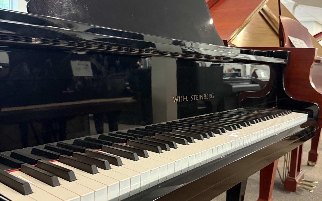 Wilh. Steinberg IQ77 Black Baby Grand Piano $9,999